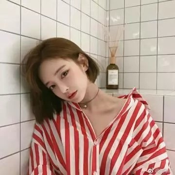 天狼星行动